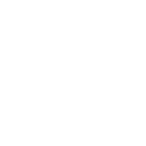 Erika Lust